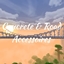 Concrete & Road Accesoires logo