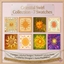 Sun & Solstice Celestial Canvas Collection logo