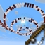 New Orbitals logo