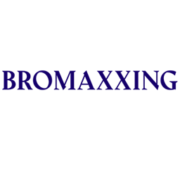 BROMAXXING project image