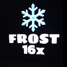 Frost 16x project image