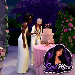 Dream Weddings (translation) By SoulMica logo