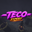 Teco Expert logo