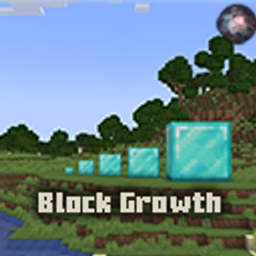 Block Growth project image
