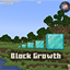 Block Growth logo