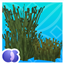 Os' Colorful Grasses (Official) logo