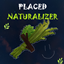 Placed Naturalizer logo