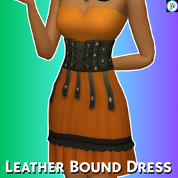 Leather Bound Dress project image
