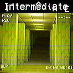 Intermediate project image