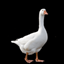 Jean the Goose logo