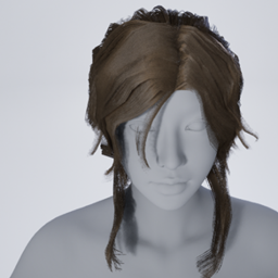 Lara Inspired Ponytail project image