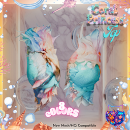 π Coral Princess Mermaid Top π project image