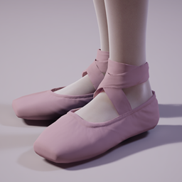 BallerinaShoes_582490A1 project image