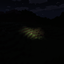Real Darkness logo