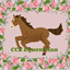 CCE Equestrian logo
