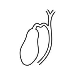 Gallbladder SMP Pack