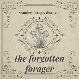 the Forgotten Forager - ft Mushroom Quest  project image
