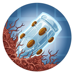 Create: Big Cannons X Fungal Infection: Spore