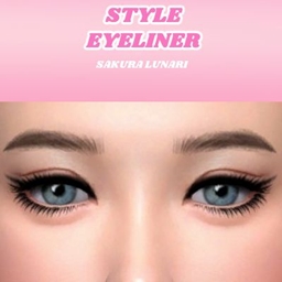 Style Eyeliner project image
