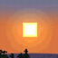 Shareware Edition (For 1-21-1) logo