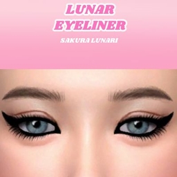 Lunar Eyeliner project image