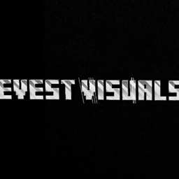 Evest visuals project image