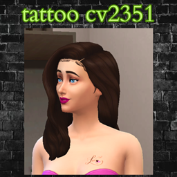 tattoo cv2351 project image