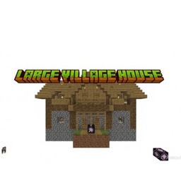 Large Village House