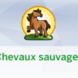 Wild Horses Lot Trait - Traduction FR