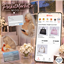 PL | PlatinumLuxe PocketMarket Mod - Luxury Shopping (Bags) logo