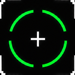 Auto Aim (Aim assist)