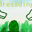 Dragon brssding logo