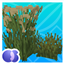 Os' Colorful Grasses (Official) logo