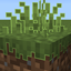Outlined Foliage | The Best Outlined Grass Resource Pack logo