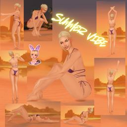 Summer Vibe (Pose Pack) logo