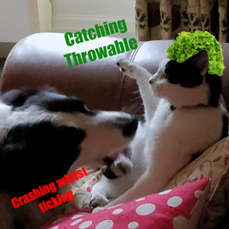 Lettuce Not Crash logo