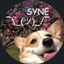 SYNE Modpack logo