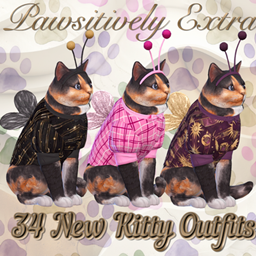 Pawsitively Extra - Kitty Costume project image