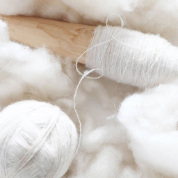 Land of Cashmere and Daisies