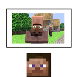 Camera FIGS