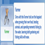 kiarasims  Farmer Trait / translation spanish by Monisims logo