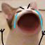 WTFMeMe logo