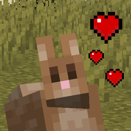 Friendly rabbits