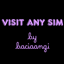 Visit Any Sim logo