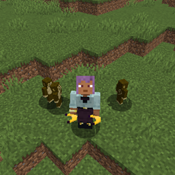 Les Singes