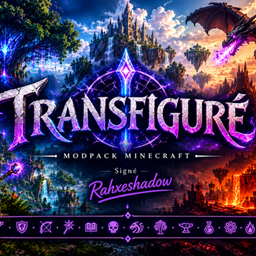 Transfigurer