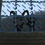 Last Nightmare logo