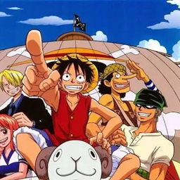 one piece skins project image