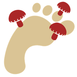 Fungal Footing project image