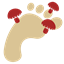 Fungal Footing logo